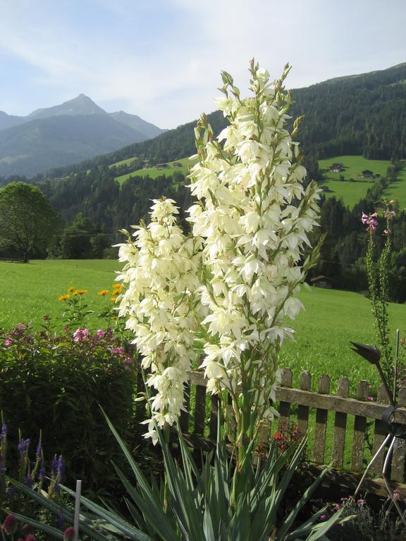 Apartment Acker Alpbach Zewnętrze zdjęcie