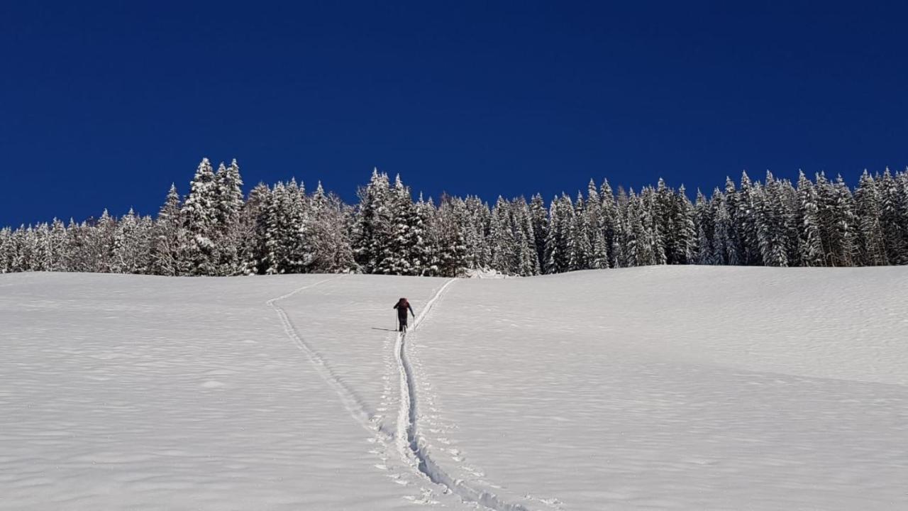 Apartment Acker Alpbach Zewnętrze zdjęcie