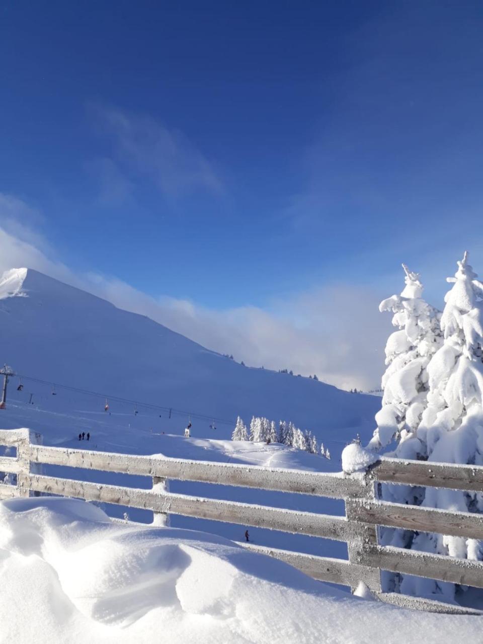 Apartment Acker Alpbach Zewnętrze zdjęcie