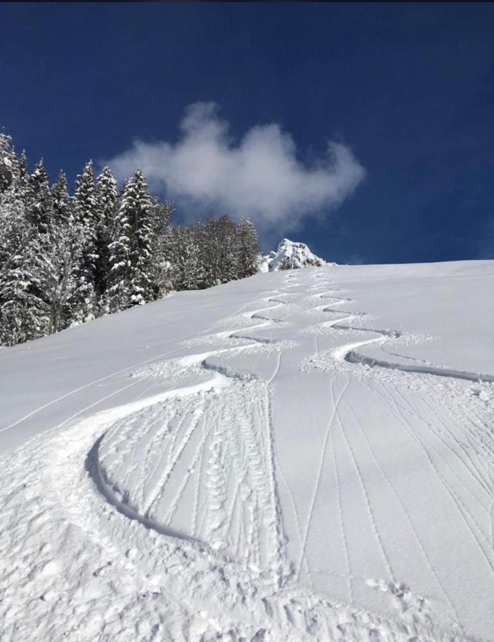 Apartment Acker Alpbach Zewnętrze zdjęcie
